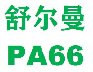 美国舒尔曼PA66