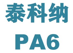 美国泰科纳(塞拉尼斯)PA6