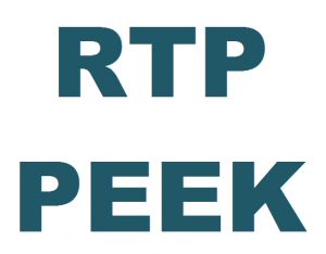 美国RTP PEEK