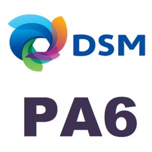 DSM帝斯曼PA6