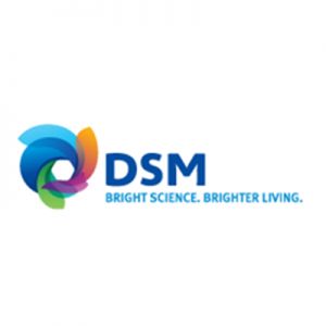 DSM帝斯曼Novamid® PA6 和 PA66
